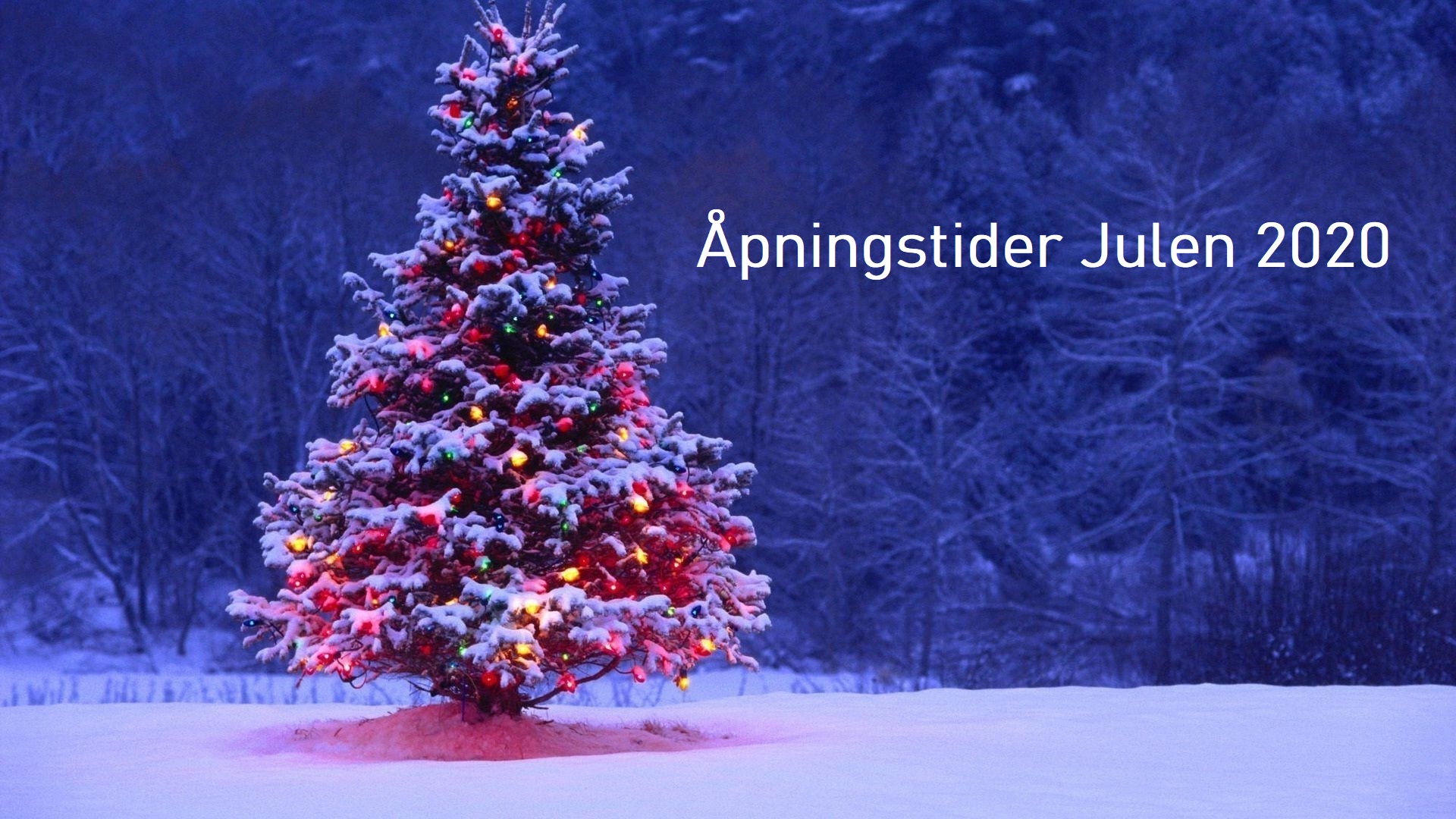 2020_Julebilde - landingsside 2020_Julebilde - landingsside